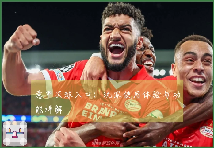 意甲买球入口：玩家使用体验与功能详解
