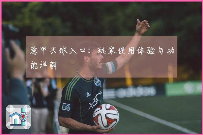 意甲买球入口：玩家使用体验与功能详解