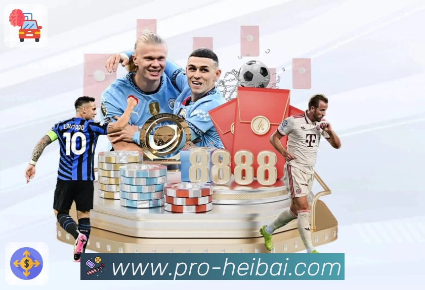 意甲买球入口：玩家使用体验与功能详解